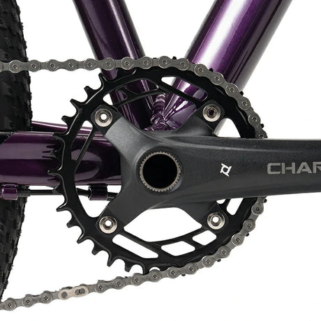 #color_purple