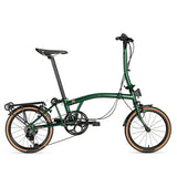 #color_Green